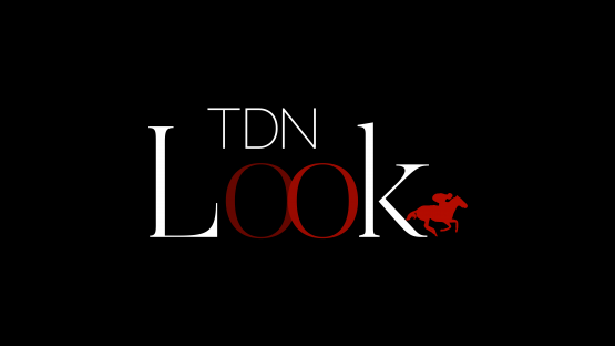 TDN Look